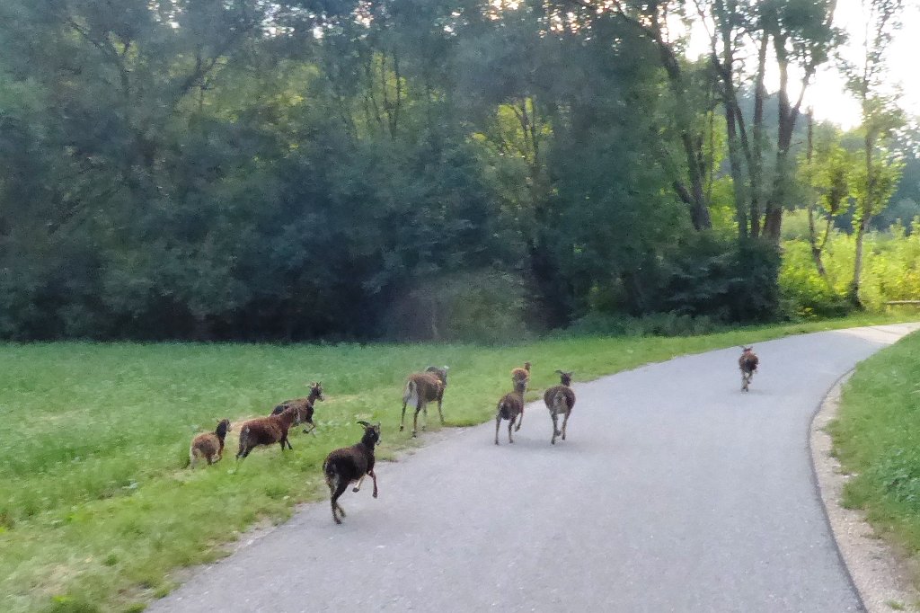 180718rad_feierabend (18).JPG