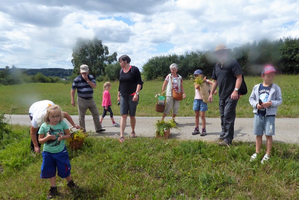 180811weihbuschel_040.JPG