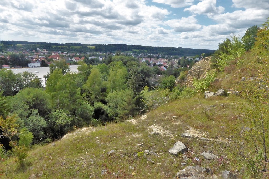 180811weihbuschel_096.JPG