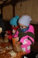181027_ruebengeister_schnitzen034