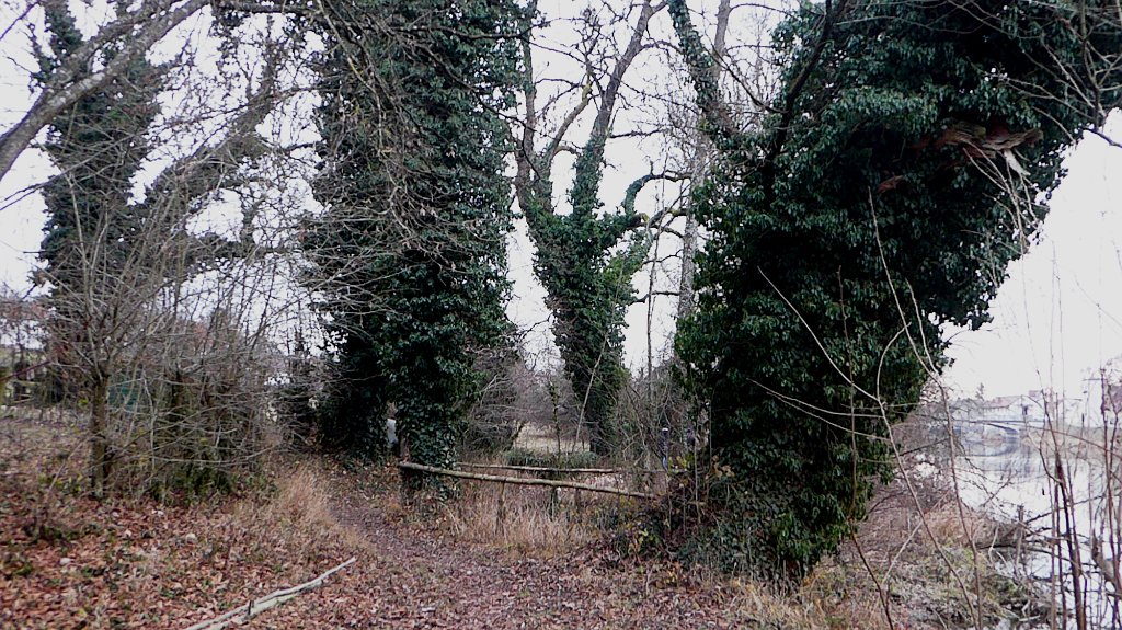 181215wanderung_wome_30.JPG