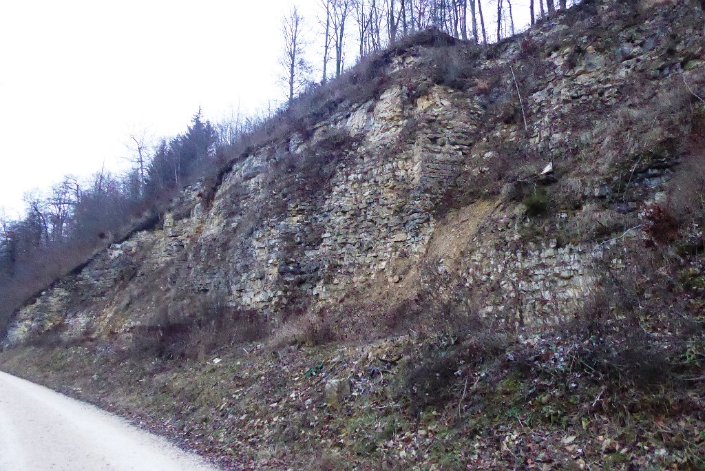 181215wanderung_wome_76.JPG