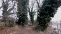 181215wanderung_wome_30