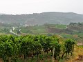 2018_10_02 Vortour Kaiserstuhl 029