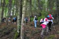 190622_allgaeu01a_012