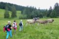 190622_allgaeu01a_015