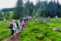 190622_allgaeu01a_027