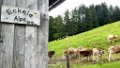190622_allgaeu01a_046