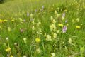 190622_allgaeu01a_061