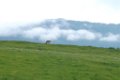 190622_allgaeu01a_063