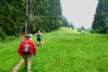 190622_allgaeu01a_070