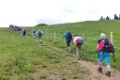 190622_allgaeu01a_114
