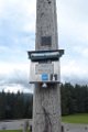 190622_allgaeu01a_118