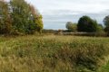 191018arbeitseinsatz (8)