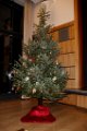 181127AV_Gestecke (12)