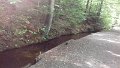 IMG-20190614-WA0013