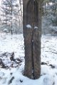 200119_jungnau_rundweg43