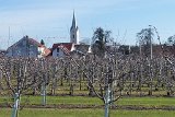 200209eriskirch037