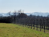 200209eriskirch123