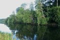 200731abendwanderung12