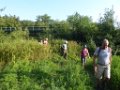 200731abendwanderung29