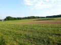 200731abendwanderung51