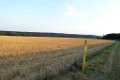 200731abendwanderung56