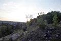 200731abendwanderung67