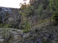 200731abendwanderung67a