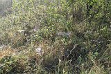 200816morgenwanderung030
