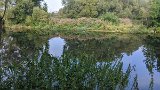 200816morgenwanderung035