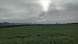 200816morgenwanderung038