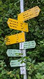 200816morgenwanderung079