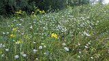 200816morgenwanderung088