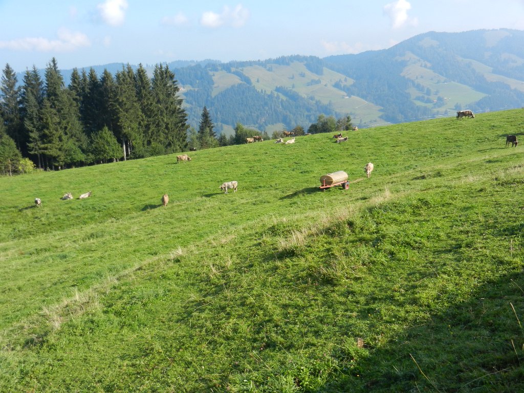 200912allgaeu01_06.JPG