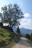 200912allgaeu02_079