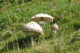 200912allgaeu02_080