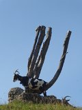 200912allgaeu02_114