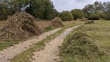 201015-16egelsee (10)