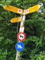 210711morgenwanderung_blitzenreute07