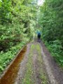 210711morgenwanderung_blitzenreute38