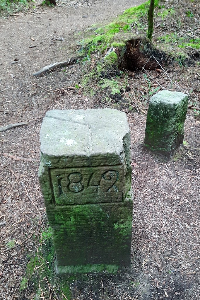 210919Scharzwald01_ (11).jpg