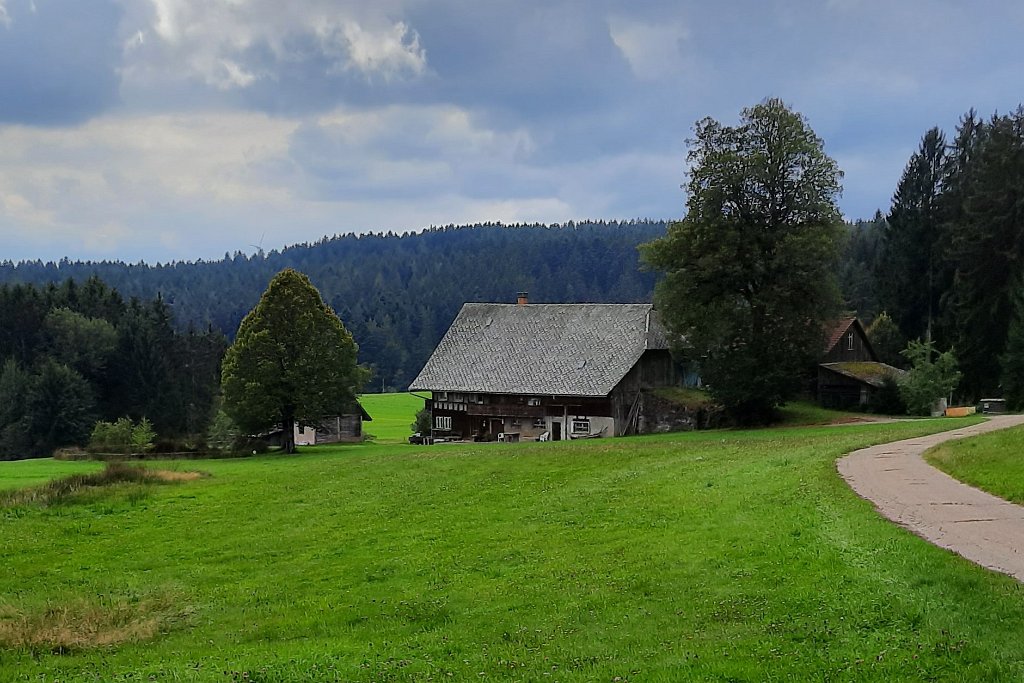 210919Scharzwald01_ (16).jpg
