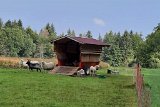 210919Scharzwald01_ (07)