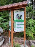 210919Scharzwald01_ (17)