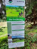 210919Scharzwald01_ (25)