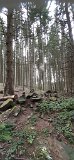 210919Scharzwald01_ (30)