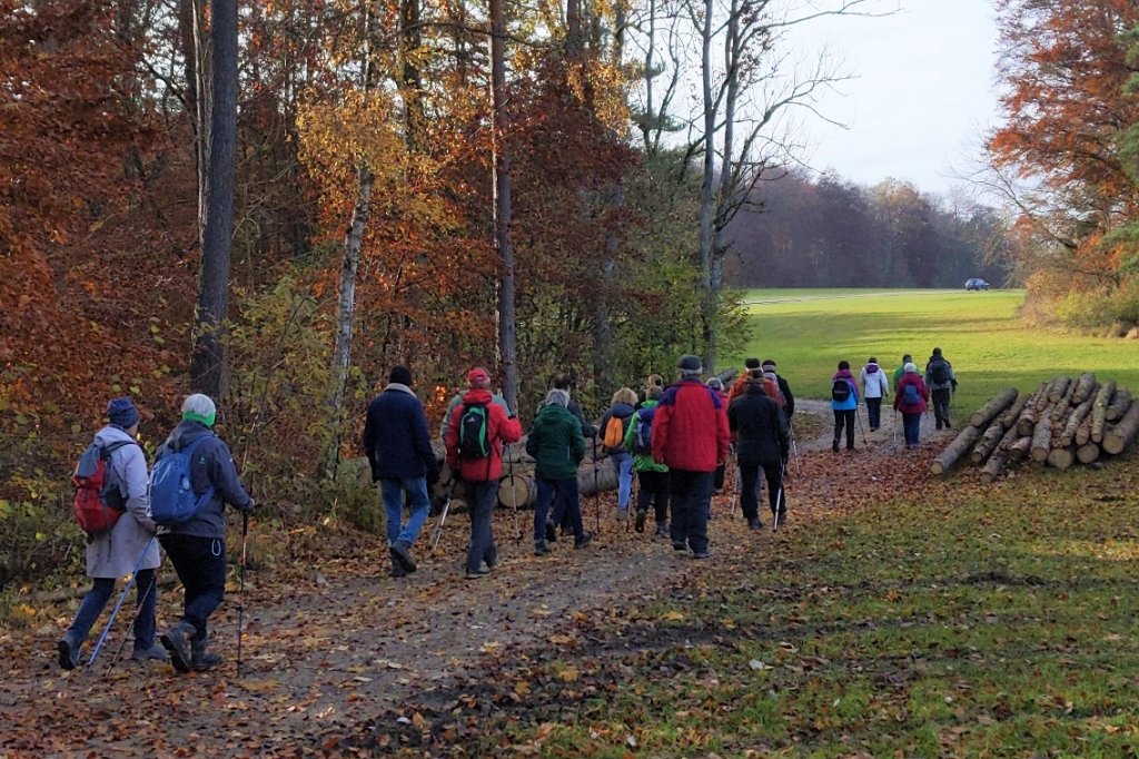 211107Donaufelsengarten__21.jpg