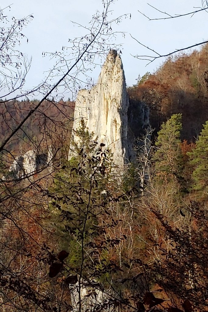 211107Donaufelsengarten__56.jpg - Noch einmal: Der Rabenfelsen
