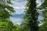 220427_bluetenwanderung01b_ (10)